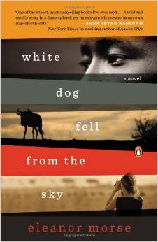 White Dog Fell From The Sky, by author Eleanor Morse